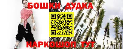 крисы Можга