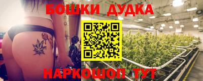 крисы Можга