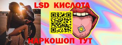 крисы Можга