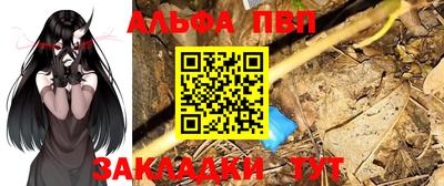 крисы Можга