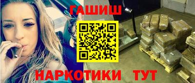 крисы Можга