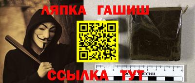 крисы Можга
