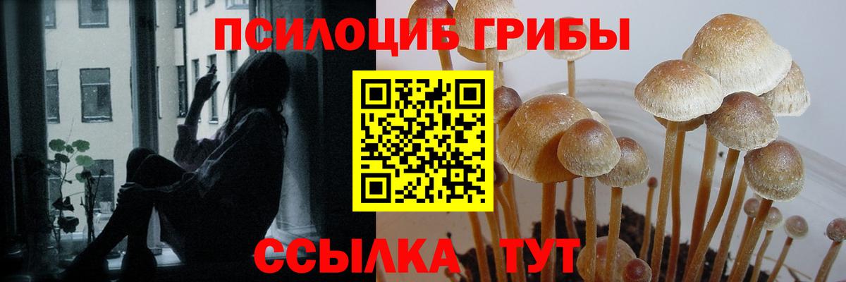 Галлюциногенные грибы мухоморы Арзамас